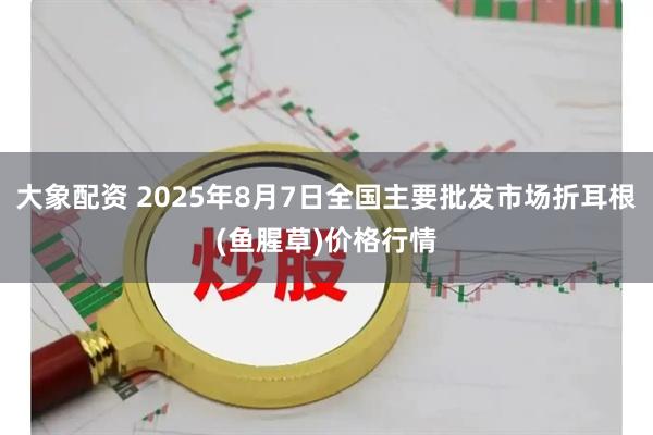 大象配资 2025年8月7日全国主要批发市场折耳根(鱼腥草)价格行情