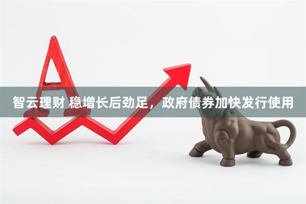 智云理财 稳增长后劲足，政府债券加快发行使用