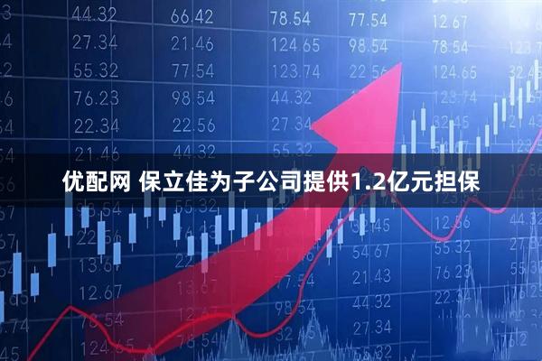 优配网 保立佳为子公司提供1.2亿元担保
